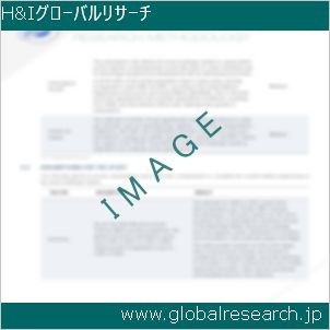 グローバルリサーチ調査レポートのイメージ